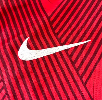 Urawa Red Diamonds 2017/2018 - Home Kit